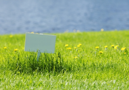 White signboard on grass with dandelion flowersの写真素材