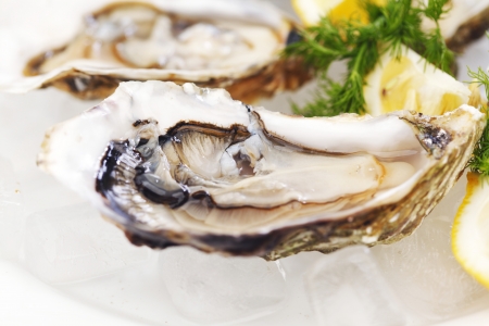 Oysters with lemon and dill on plate with iceの写真素材