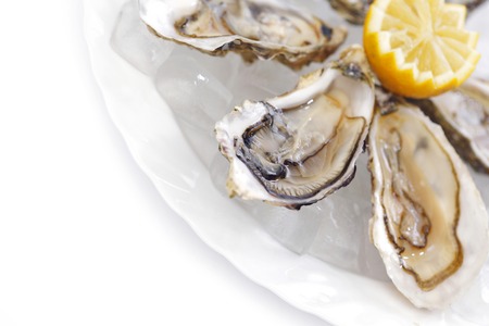 Oysters with lemon on white plate