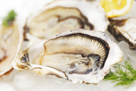 Oysters with lemon and dill on plate with ice