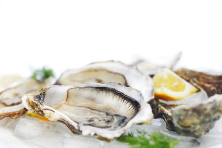 Oysters with lemon and dill on plate with iceの写真素材
