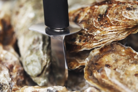 Oysters and knife macro close-up