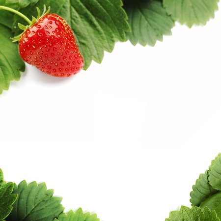 Strawberry frame with white copy spaceの写真素材