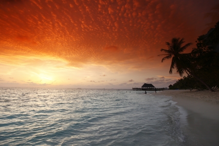 Beautiful view of sea and empty beach with palms on sunset
