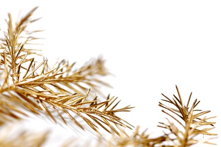 Golden christmas tree branch isolated on white backgroundの写真素材