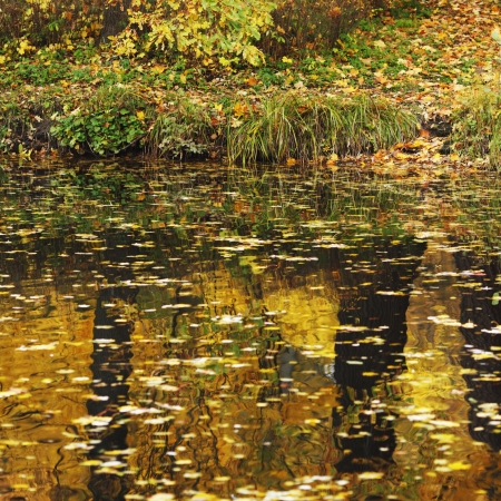 Reflection of autumn trees in water of calm pondの写真素材