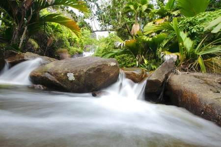Small waterfall in tropical forest close-upの写真素材