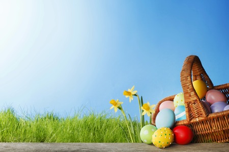 Easter card with color eggs, green grass and flowers