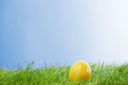 Decorated easter egg in spring grass