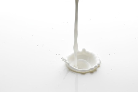 Pouring milk splash isolated on white background macroの写真素材
