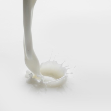 Pouring milk splash on white background macroの写真素材