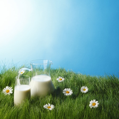 Milk jug and glass on fresh green grass with chamomilesの写真素材
