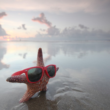 Starfish in sunglasses on summer beach at sunriseの写真素材