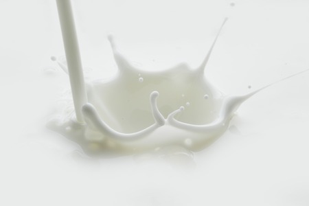 Pouring milk splash on white background macroの写真素材