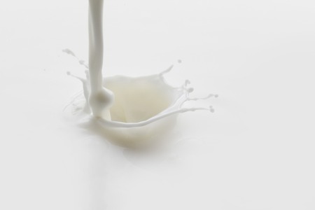Pouring milk splash on white background macroの写真素材