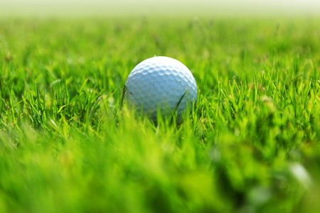 golf-ball on green grass of golf courseの写真素材
