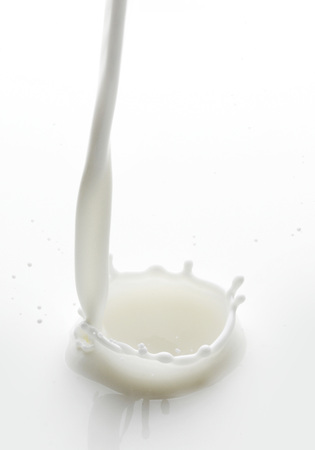 Pouring milk splash on white background macroの写真素材