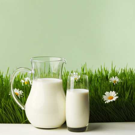 Milk in jar and glass on fresh grass meadow with chamomilesの写真素材