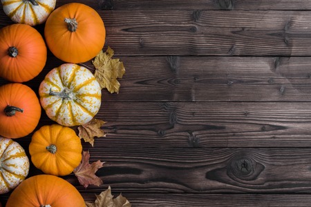Many pumpkins and maple leaves on dark wooden background, Halloween concept