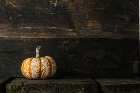 One striped orange pumpkin on dark wooden background, Halloween conceptの写真素材