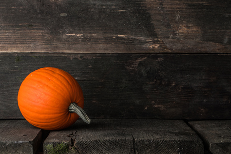 One orange pumpkin on dark wooden background, Halloween conceptの写真素材
