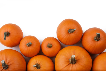 Many orange pumpkins isolated on white background, Halloween conceptの写真素材