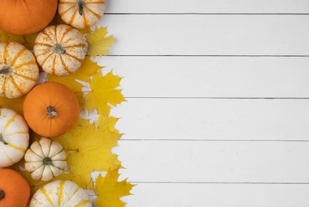 Many colorful pumpkins and maple leaves frame on wooden background , autumn harvest , Halloween or Thanksgiving conceptの写真素材