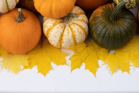 Many pumpkins and maple leaves isolated on white background , Halloween conceptの写真素材