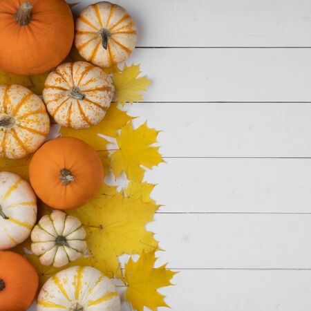 Many colorful pumpkins and maple leaves frame on wooden background , autumn harvest , Halloween or Thanksgiving conceptの写真素材