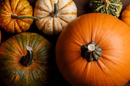 Many orange pumpkins background , Halloween conceptの写真素材