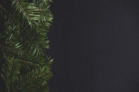 Pine Christmas tree branches on black paper background flat lay top view mock-upの写真素材