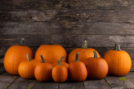 Many orange pumpkins on dark wooden background, Halloween conceptの写真素材