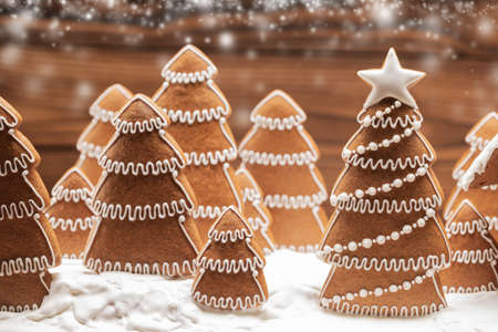Gingerbread christmas fir trees cookies forest in snow winter holiday celebration concept