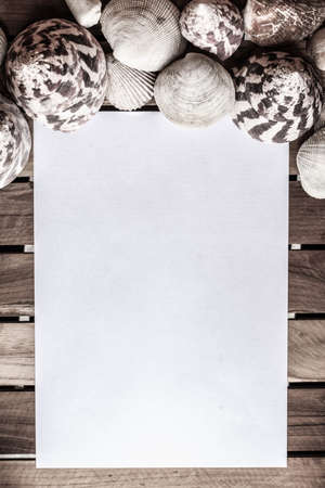 White blank paper with seashells and grunge wooden planksの写真素材