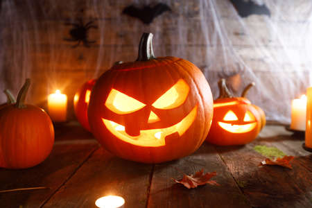 Halloween, decorations and holidays concept - pumpkins with bats, spider web and candlesの写真素材
