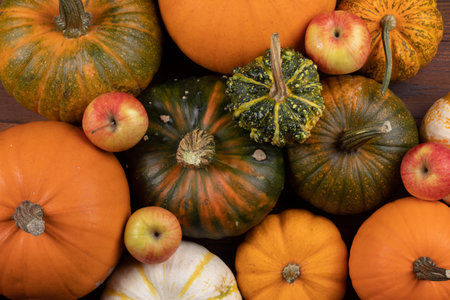 Many various colorful pumpkins background, Halloween or Thanksgiving day concept