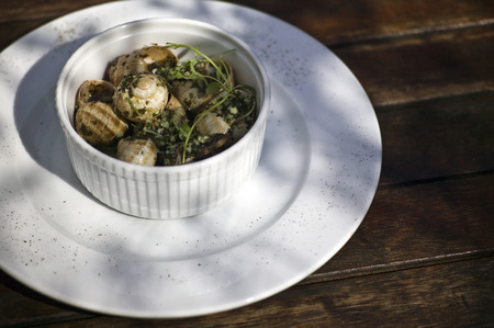 snails