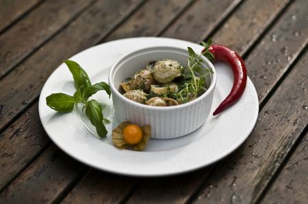 snailsの写真素材