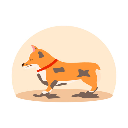 Dirty sad dog. Welsh Corgi. Flat vector illustrationのイラスト素材
