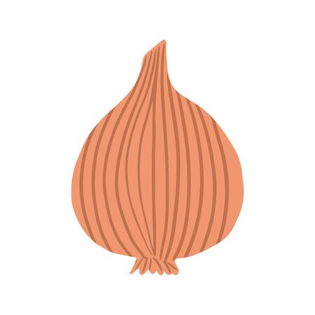 Onion in doodle style isolated on white background. Hand drawn onion bulb vegetable. Vegetarian healthy food. Fresh organic ingredient. Vector illustrationのイラスト素材
