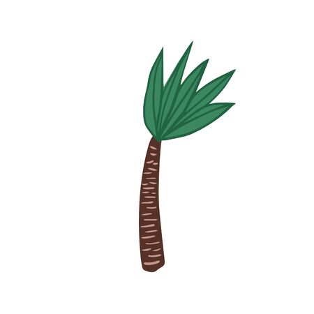 Palm tree in doodle style isolated on white background. Hand drawn exotic rainforest tree. Tropical vector illustrationのイラスト素材