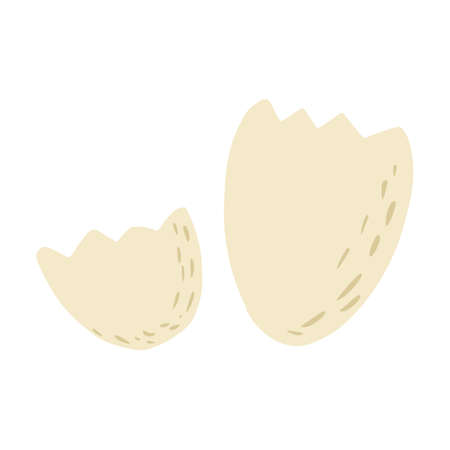 Eggshell isolated on white background. Ingredients for cooking in doodle vector illustration.