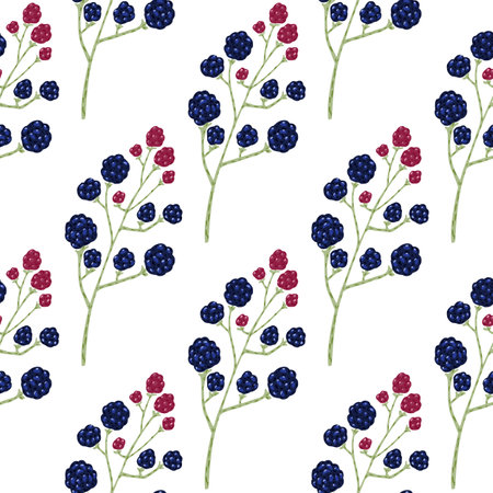 Botanical seamless food pattern with blackberry branches ornament. Isolated print with navy blue berries. Perfect for fabric design, textile print, wrapping, cover. Vector illustration.のイラスト素材