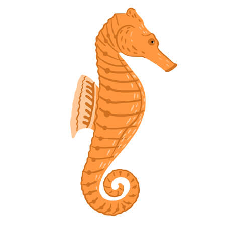 Orenge seahorse isolated on white background. Cartoon character reef fauna in flat style. Vector illustration.のイラスト素材