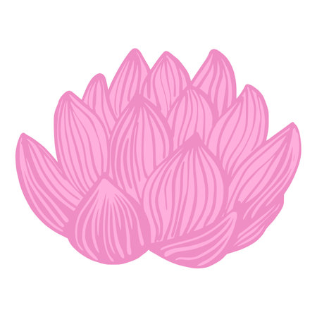 Pink Lotus flower isolated on white background. Abstract sketch botanical bud. Vector illustration in doodle style.のイラスト素材