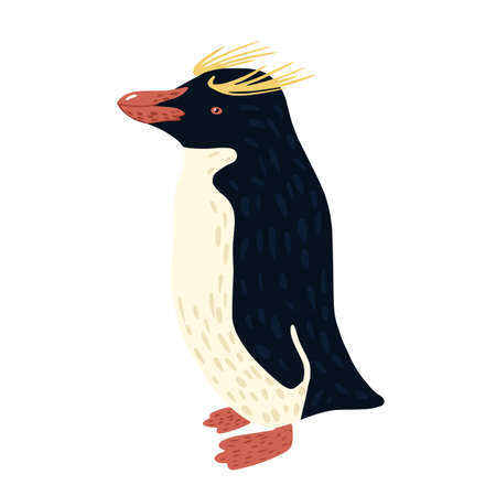 Penguin macaroni isolated on white background. Cute bird from arctic hand drawn style. Beautiful cartoon character with gold hair. Design vector illustration.のイラスト素材