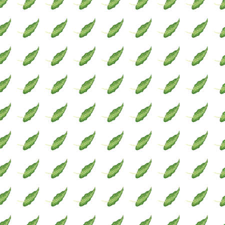 Modern tropical seamless pattern with green leaves isolated on white background. Botanical foliage plants wallpaper. Exotic hawaiian backdrop. Design for fabric, textile print, wrapping, coverのイラスト素材