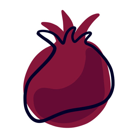 Hand drawn pomegranate isolated. Print, poster design. vector illustrationのイラスト素材
