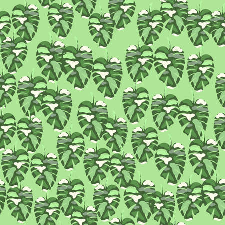 Abstract monstera leaves tropical seamless pattern. rainforest background. Creative palm leaf...