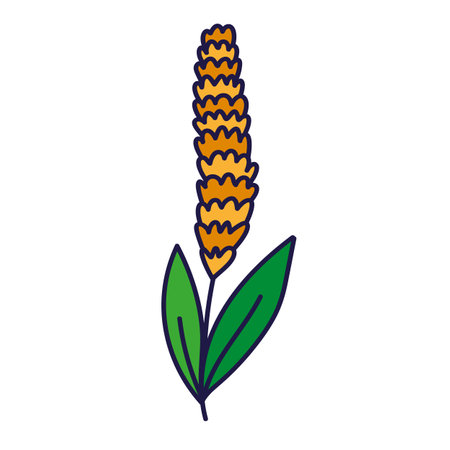 wheat plant isolated icon vector illustrationのイラスト素材
